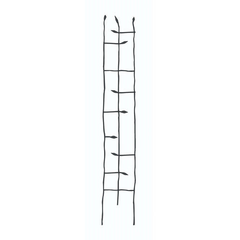 6-Ft High Narrow Garden Trellis in Metal Sprouting Twig Leaf